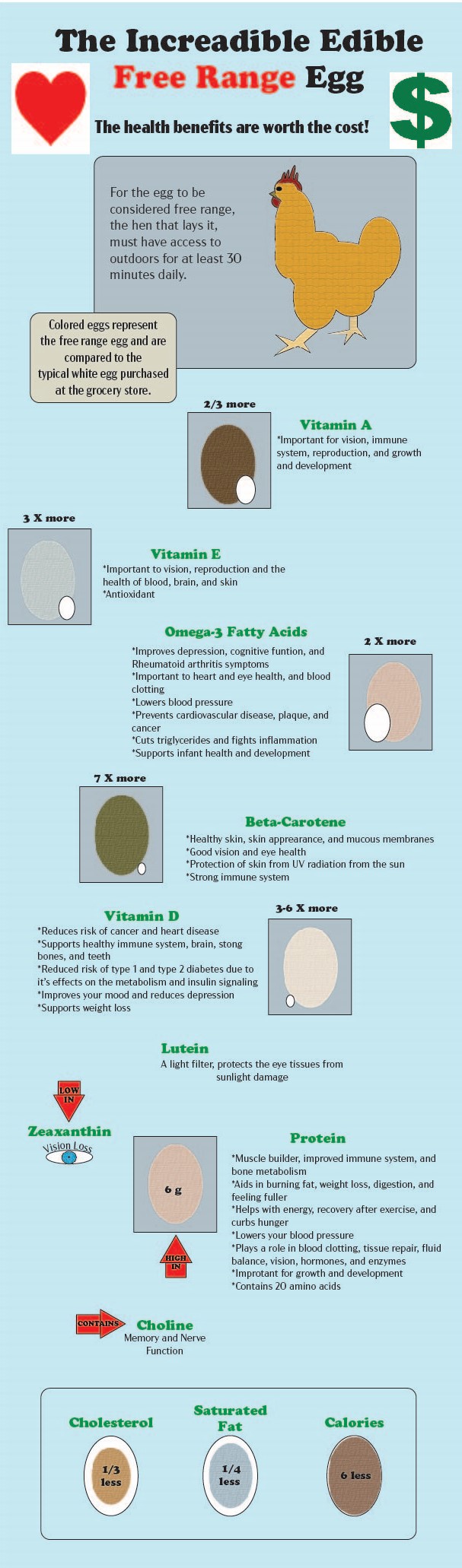 Infographic about free range eggs.