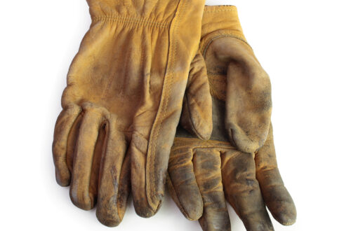 Work Gloves ameliaheirart graphic design